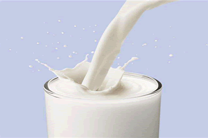 牛奶能加冰糖吗