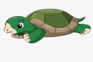乌龟能不能吹空调