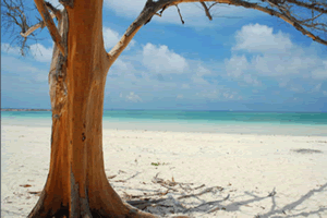 大巴哈马岛的气候条件怎么样