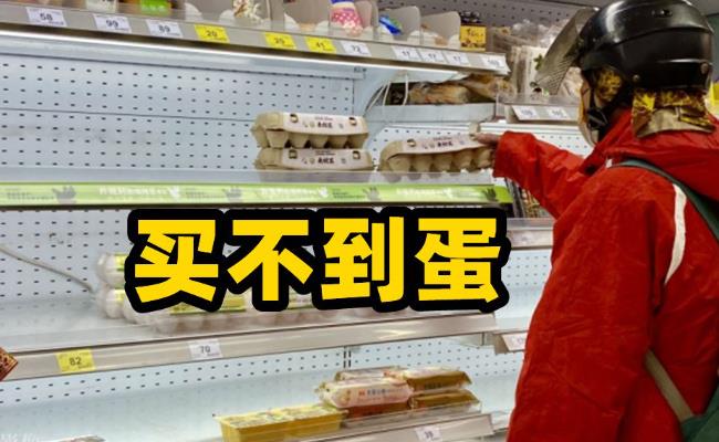 台湾缺蛋问题无解黑市价格惊人（台湾为何缺蛋？）
