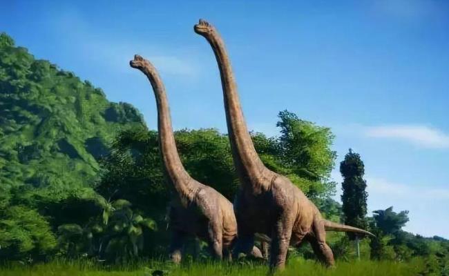 科学家在中国发现脖子最长恐龙（究竟有多长？ ）