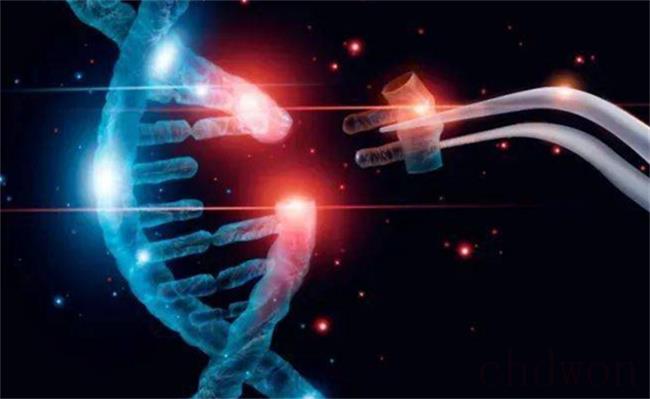 人能通过改造基因实现永生？