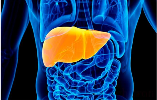 肝脏出现异常身体会有什么样的变化