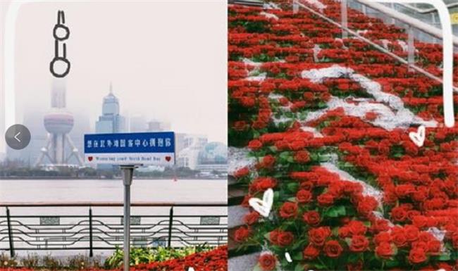 杭州地铁口惊现玫瑰瀑布（生活需要惊喜和仪式感？）