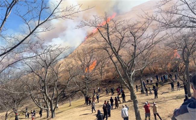 日本举行的烧山活动是什么