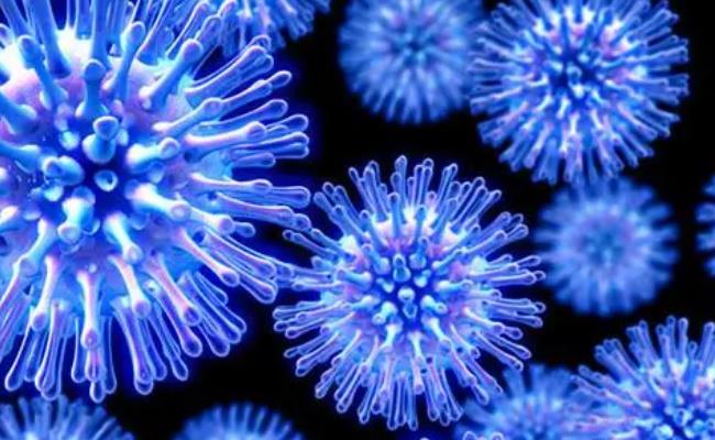 ​3月中旬流感进入高峰期（怎么预防甲流病毒？）