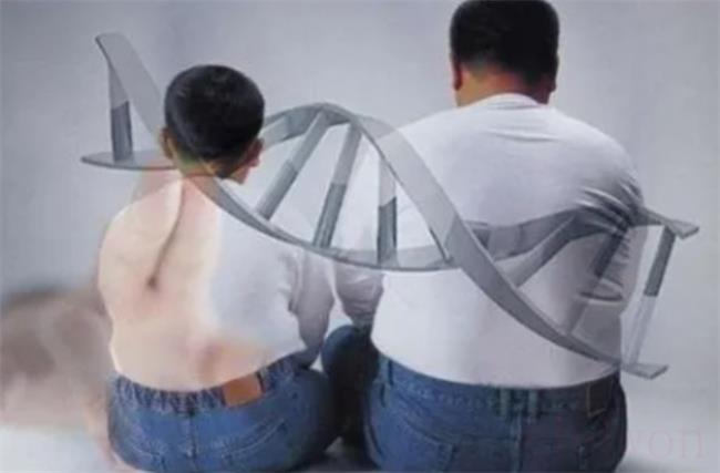 咋吃都不胖可能是基因突变吗