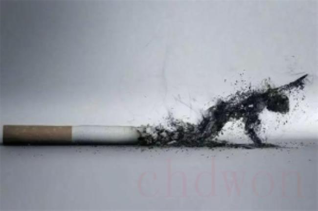 烟草和酒精导致全球近一半的癌症