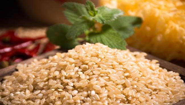 糯小米和黄小米的区别