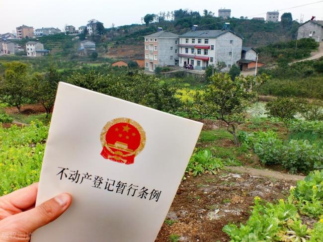 土地政策有哪些(最新国家土地政策) 土地政策有哪些(最新国家土地政策)