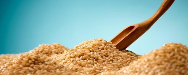 粳米是什么米和大米有哪些区别