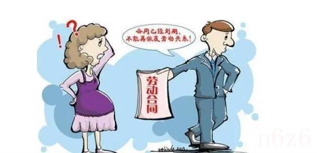 公司解散员工赔偿标准是什么(个体工商户解散员工赔偿标准) 公司解散员工赔偿标准是什么(个体工商户解散员工赔偿标准)