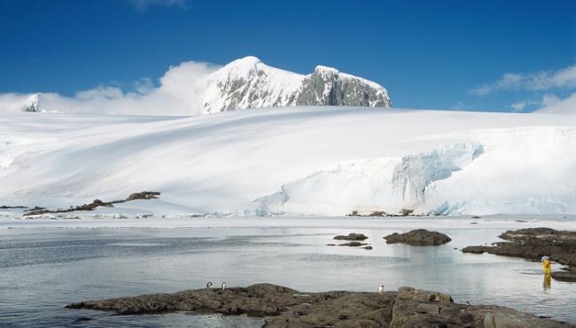 南极洲在地球的最哪边