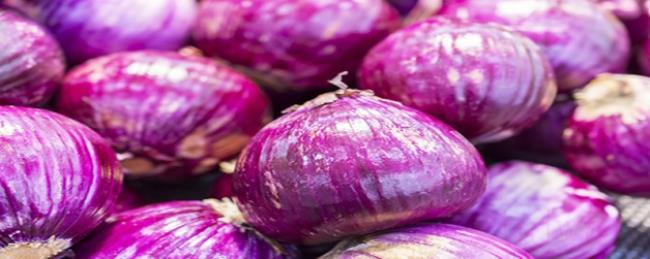 紫色洋葱和白色洋葱的区别是什么
