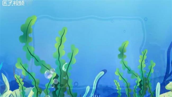 海藻是什么植物