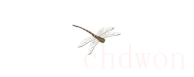 蜻蜓的尾巴有什么作用
