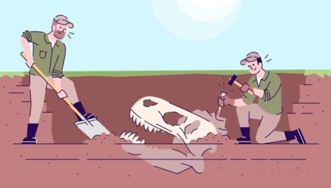 我国第一具恐龙化石的骨架是在哪里出土的
