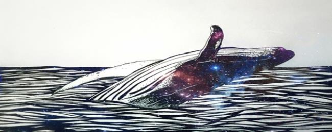 鲸落的寓意和象征