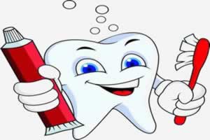 关于牙齿的知识有哪些