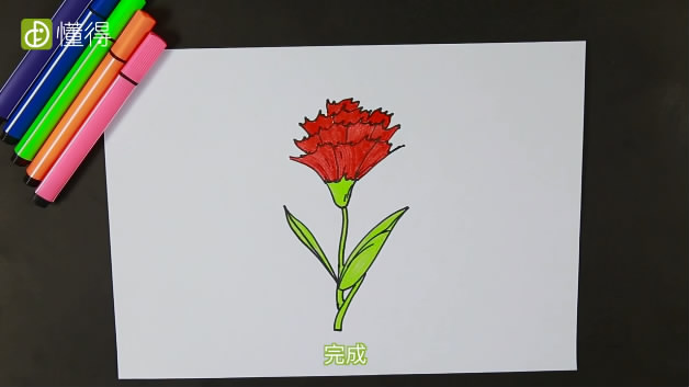 康乃馨简笔画-折线曲线画出花瓣并上色