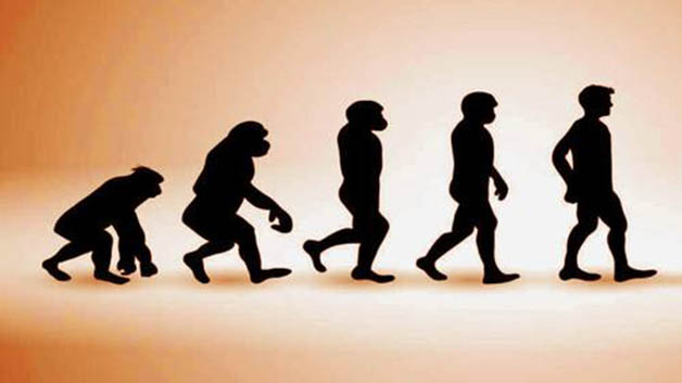 从猿到人的进化过程