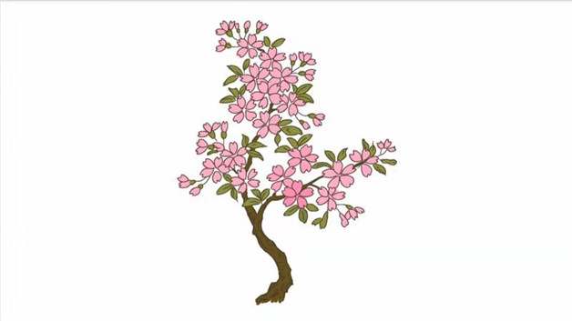 樱花树图片简笔画图片