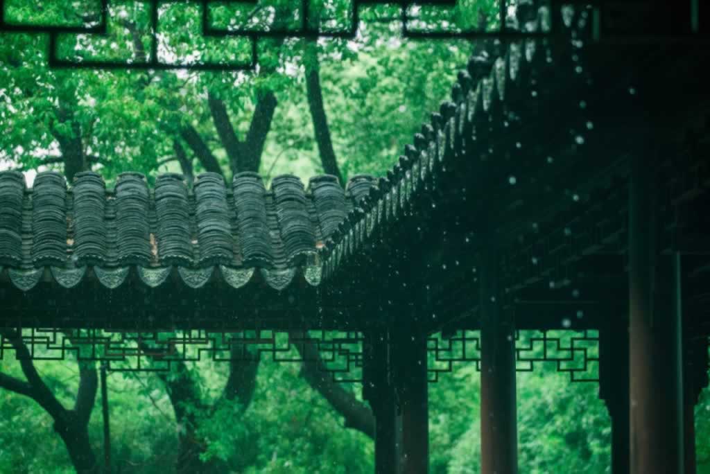 雨水节气,二十四节气,节气