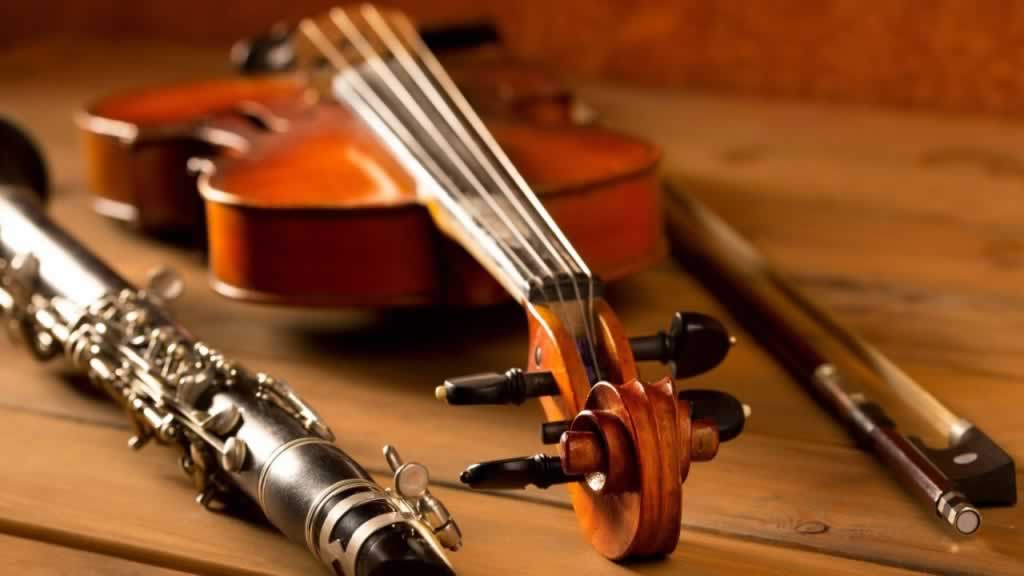 提琴种类,擦奏弦鸣乐器,西洋乐器