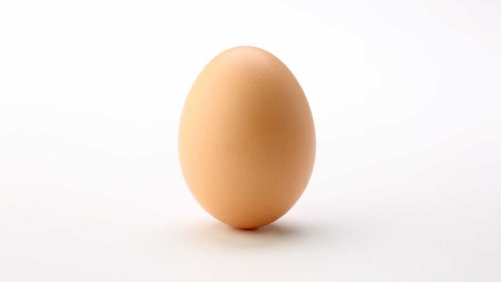 鸡蛋,受力平衡,物理知识