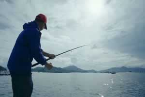 钓鱼技巧