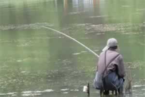 如何用大蒜钓鱼