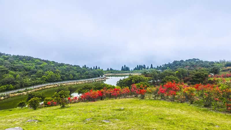 花海梯田在哪里