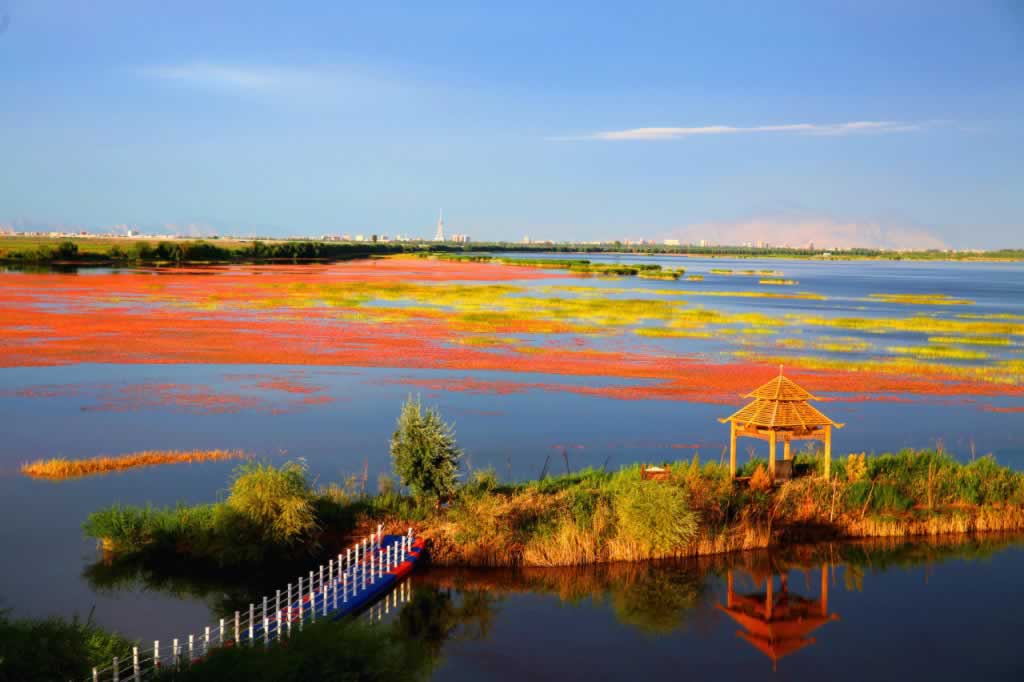 景区,预约,免费景区