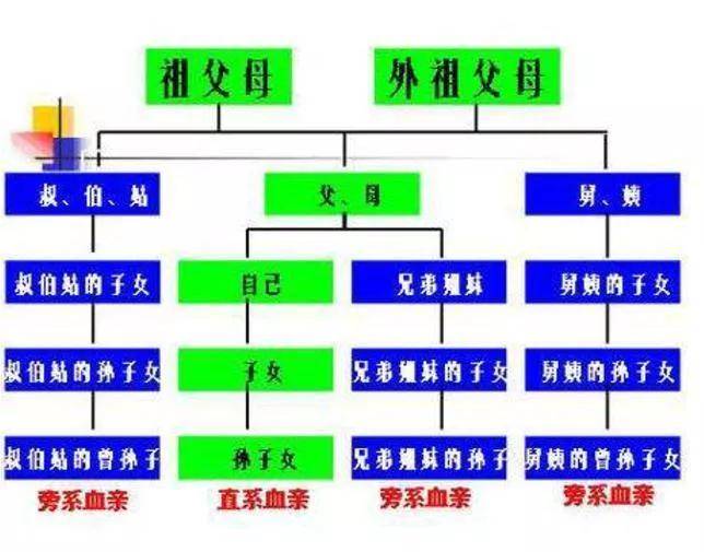 直系亲属的范围包括哪些（三代直系亲属关系一览表）