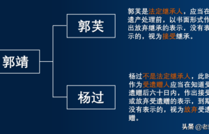 继承权的放弃和丧失有哪些区别（丧失继承权的行为）