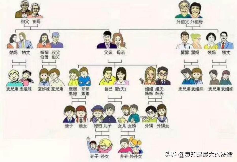 三代以内直系亲属包括哪些人（法律上直系亲属的规定）