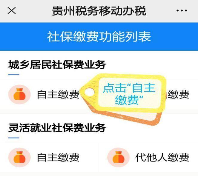 2022年养老保险在手机上怎么交（养老保险网上缴费步骤）