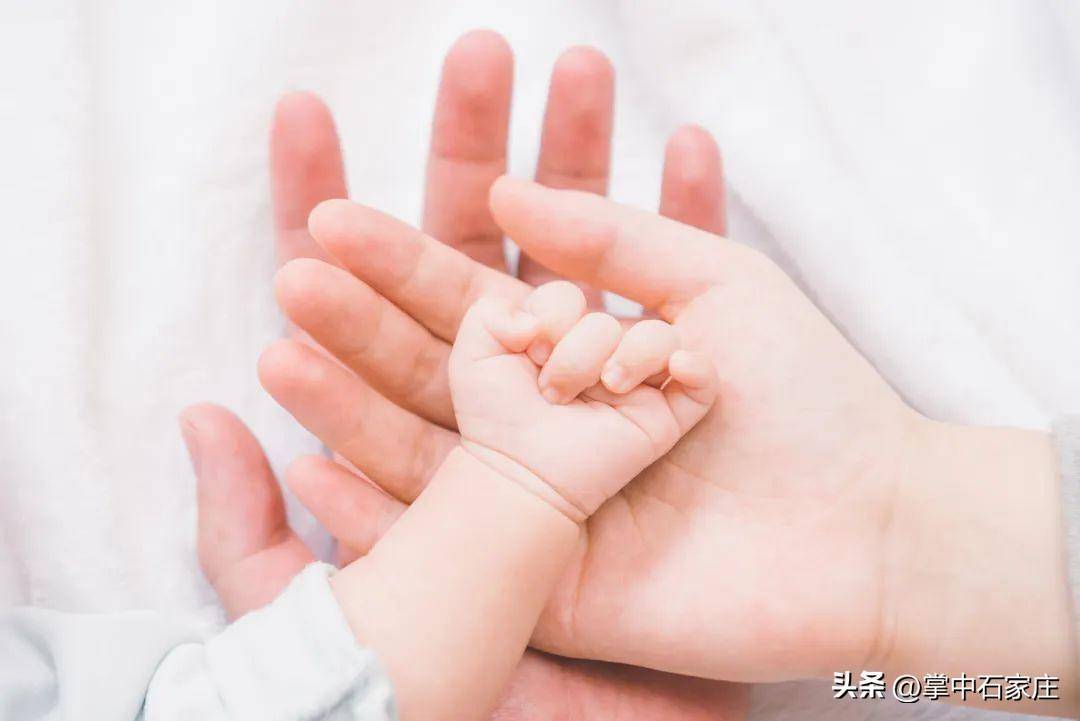 河北省人口与计划生育条例实施细则（关于生育津贴新政策）