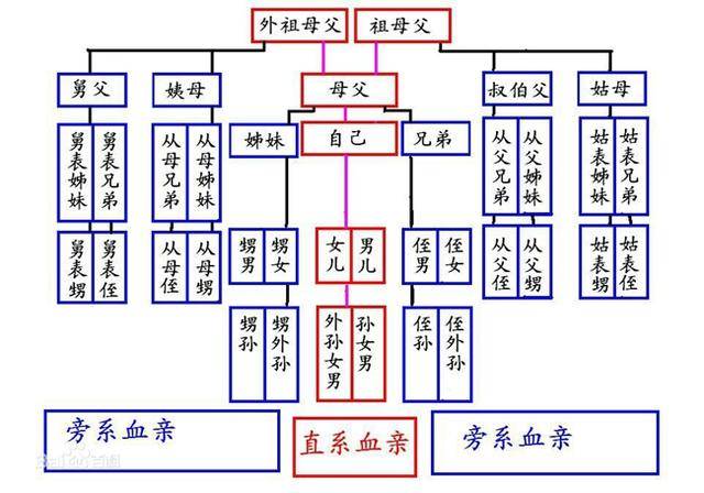 民事诉讼中的近亲属是指哪些人（关于近亲属的法律规定）