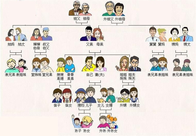 丧假直系亲属的范围（直系亲属一览表）