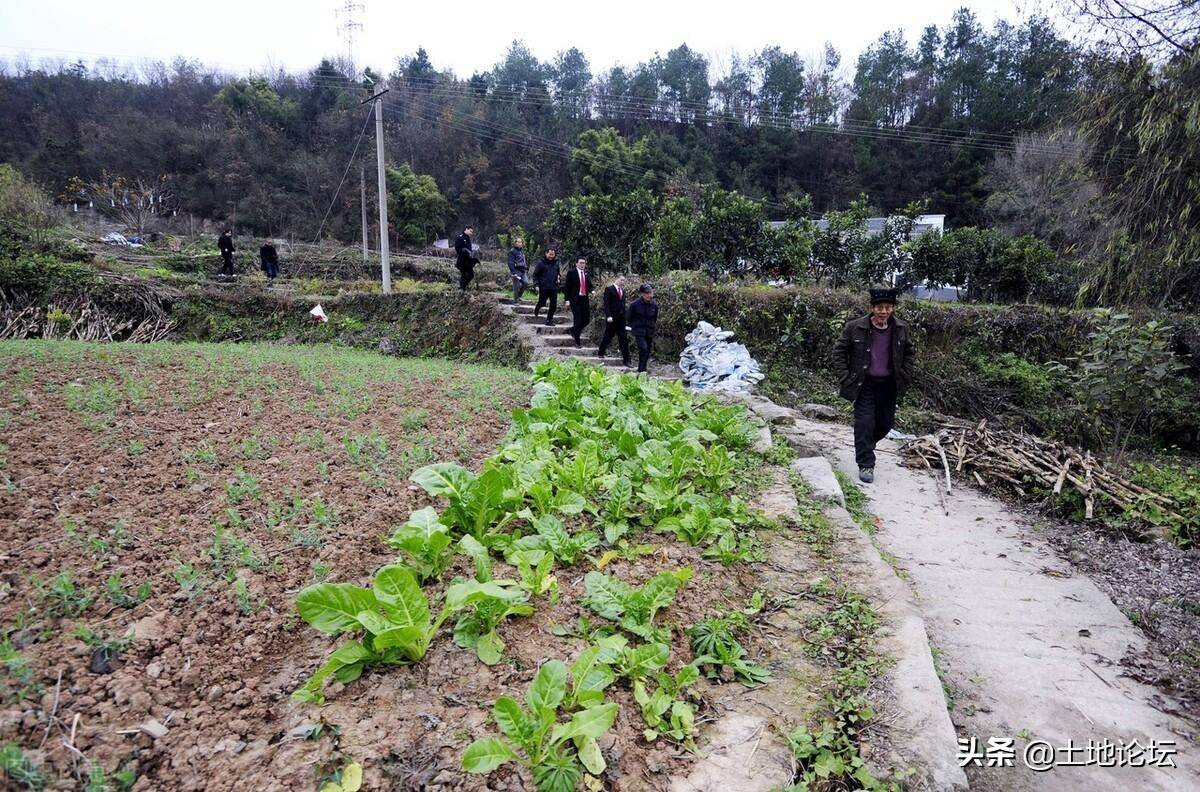 醉驾没有出现事故怎么处理（民法典土地被侵占条例）