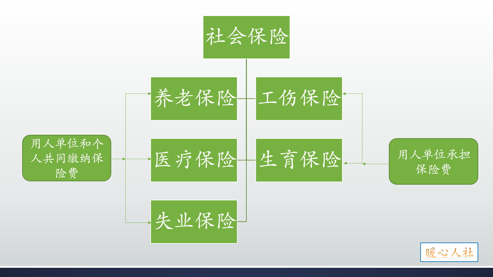 社会保险费用一般由谁承担（最新社会保险法规定）