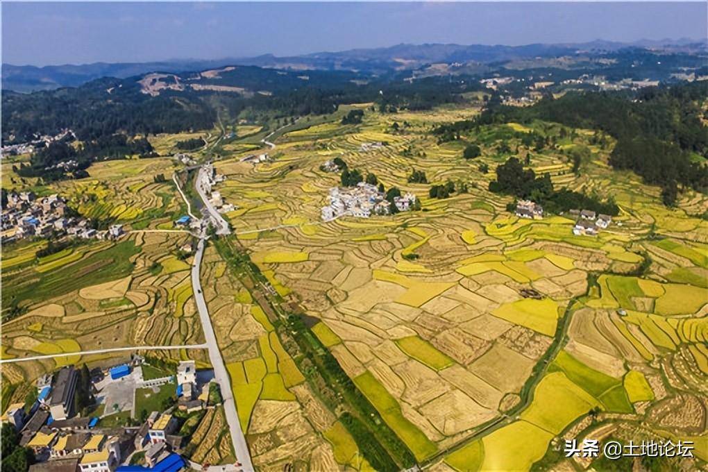 土地承包期限最长多少年（农村集体土地承包年限）