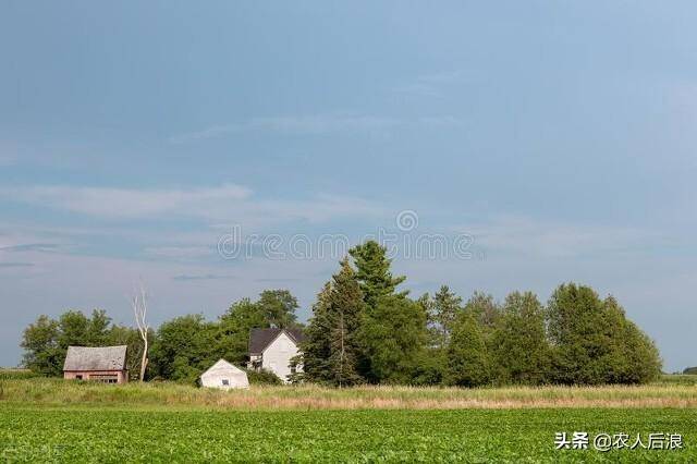 宅基地征收补偿每平米多少钱（房屋拆迁补偿最新标准）