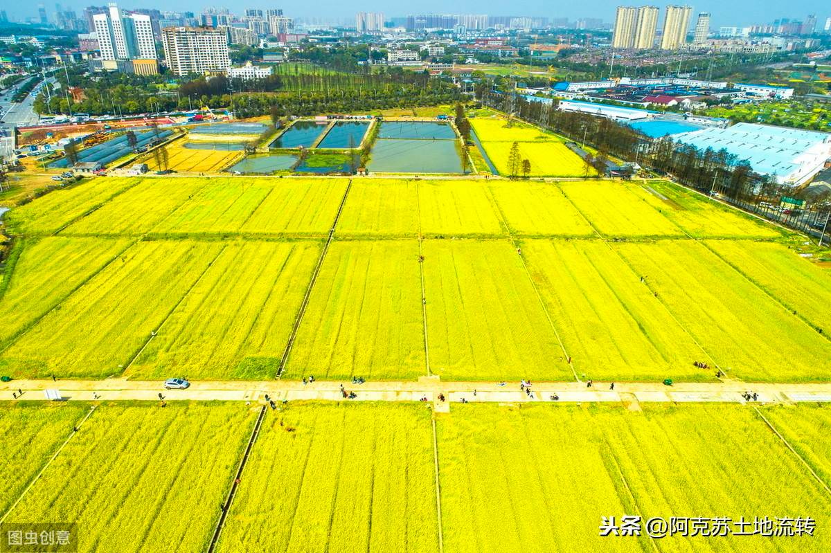 农村土地确权申请书怎么写（关于土地权属确认的申请）