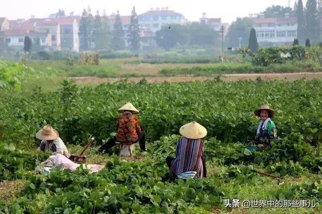 整户消亡土地收回的法律依据（全户死亡土地的处理规定）