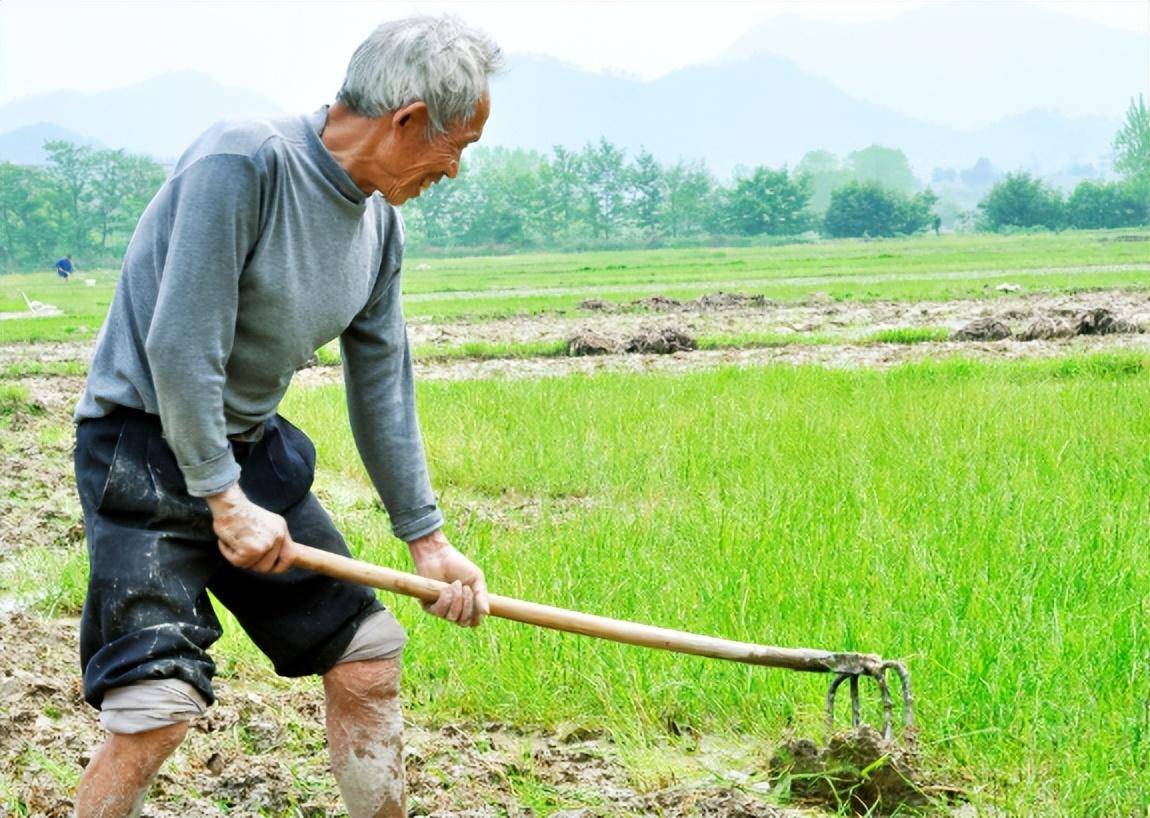 农村土地承包期限的规定（2022年土地确权新政策）