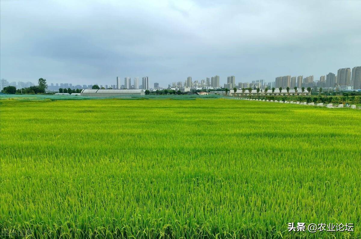 湖北省土地征用补偿最新标准（最新土地补偿明细）