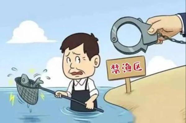 中华人民共和国渔业法何时正式实施（非法捕鱼的定罪量刑）