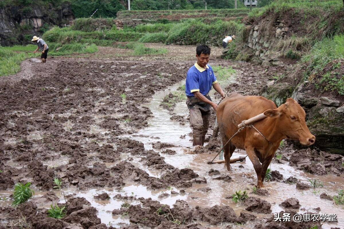 国家占地赔偿标准是多少（关于农村征地补偿标准）